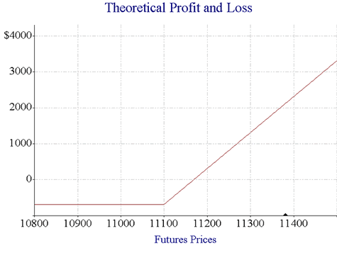Theoretical Profit Loss 2